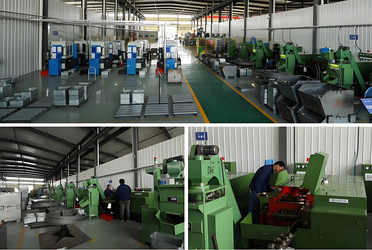 Shaanxi Flourish Industrial Co., Ltd. γραμμή παραγωγής του κατασκευαστή